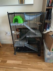 Used small pet cage/ starter kit