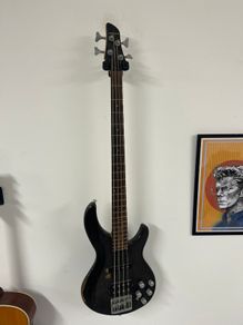 Bass guitar