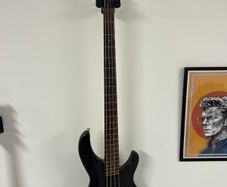 Bass guitar