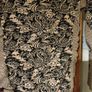 Zara roll neck dress Image 6