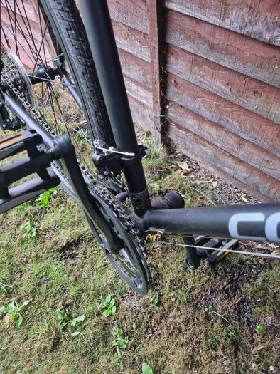 Adult Bike