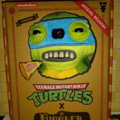 Teenage mutant ninja turtles