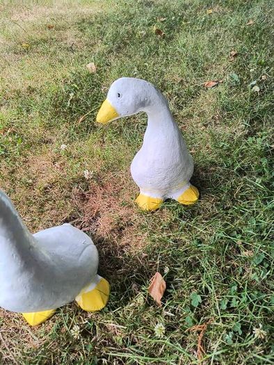 Ducks x 3