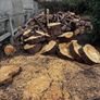 Firewood Image 3