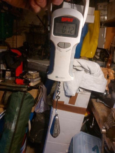 rapala battery scale 50lb