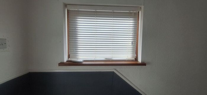 Venetian Blinds