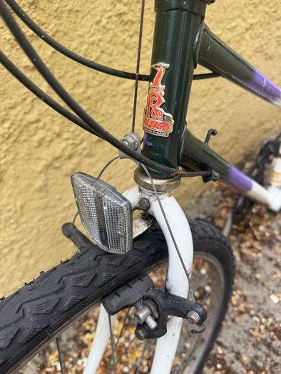 Raleigh Pioneer