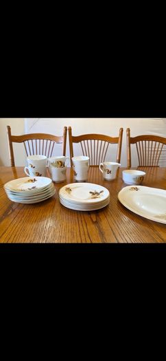 Vintage Arklow Pottery Bone China Tea Set