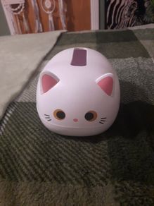 cat tissue box