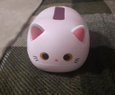 cat tissue box