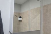 bathroom cabinets x 2