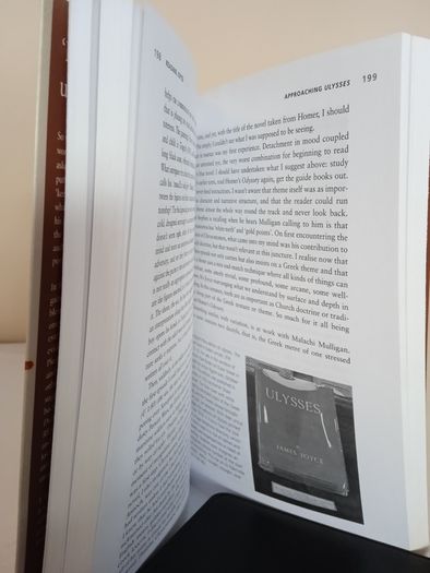 Reading Joyce by David Pierce (HQ862)