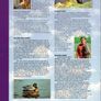 1997 Ireland Birds of Ireland Pack. Includes all stamps and mounts. Image 4