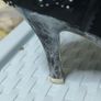 Irregular Choice Abigail's 3rd Party Black and Polkadot Bow Image 6