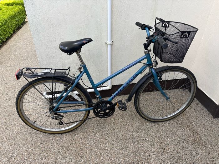 Raleigh Bike