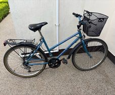 Raleigh Bike
