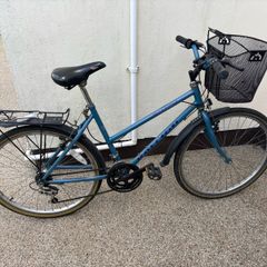 Raleigh Bike
