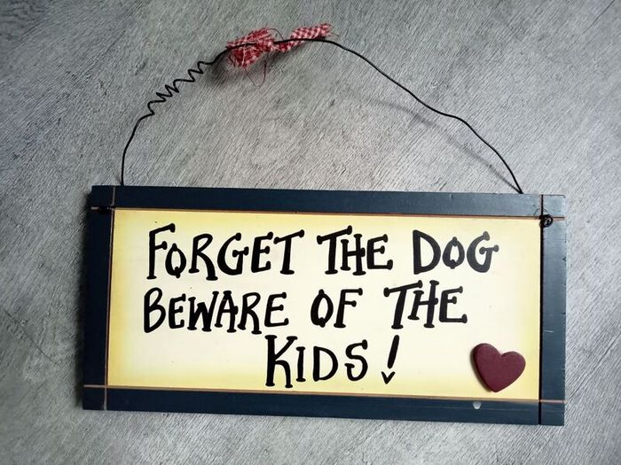 Funny Wooden Sign " Forget The Dog  Beware of The Kids"