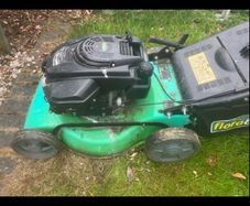 lawn