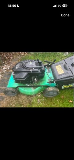 lawn