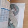 Ca Roule! Book and Workbook Image 7