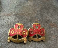 vintage Girl Guides "Land Ranger" promise badge