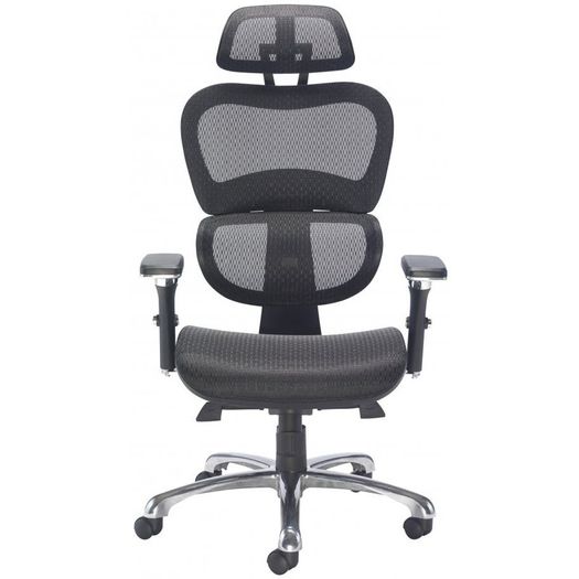 Chiachi Ergonomic High Back Managers Mesh Chair and Mesh Seat With Head Rest