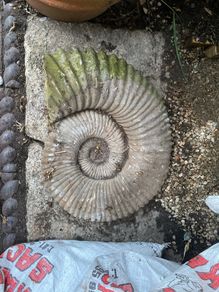 Stone Ornament