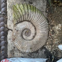 Stone Ornament