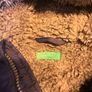 Boys jacket united colors of benetton Image 3
