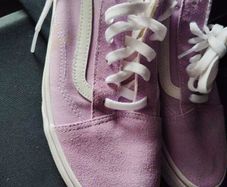 ladies Vans