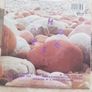 A House 7" (Signed) - I'll Always be Grateful Image 2