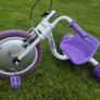 Elektra trike Image 4