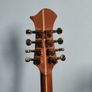 Siveen bouzouki Image 3