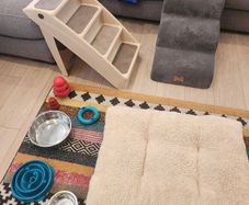 Free Dog Stuff