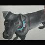 pet painting Image 3