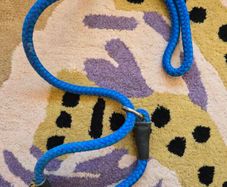 Rope short dog leash