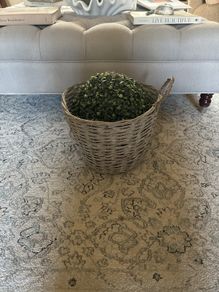 Hanging basket with topiary