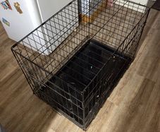 Dog cage