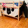 Bunk Bed with Slide Image 3