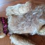 Vintage Crolly bear Image 3