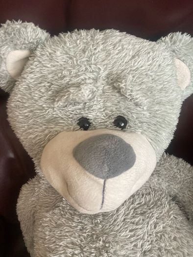Vintage "Cuddles Time" Teddy Bear
