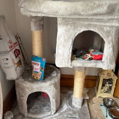 cat bed