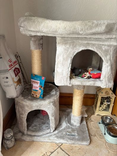 cat bed
