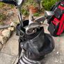 MacGregor Golf Clubs Image 3