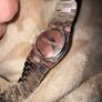 Steve Madden watch brand new unused boxed Image 4