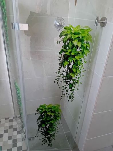 Foldable shower screen