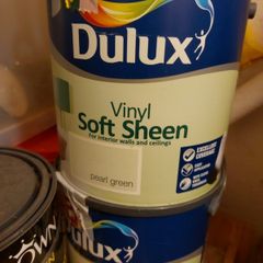 paint dulux pearl green soft sheen