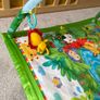 Fisher Price Rainforest Baby Gym Image 4