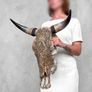 Large authentic brown bull skull Lotus motifs Image 4